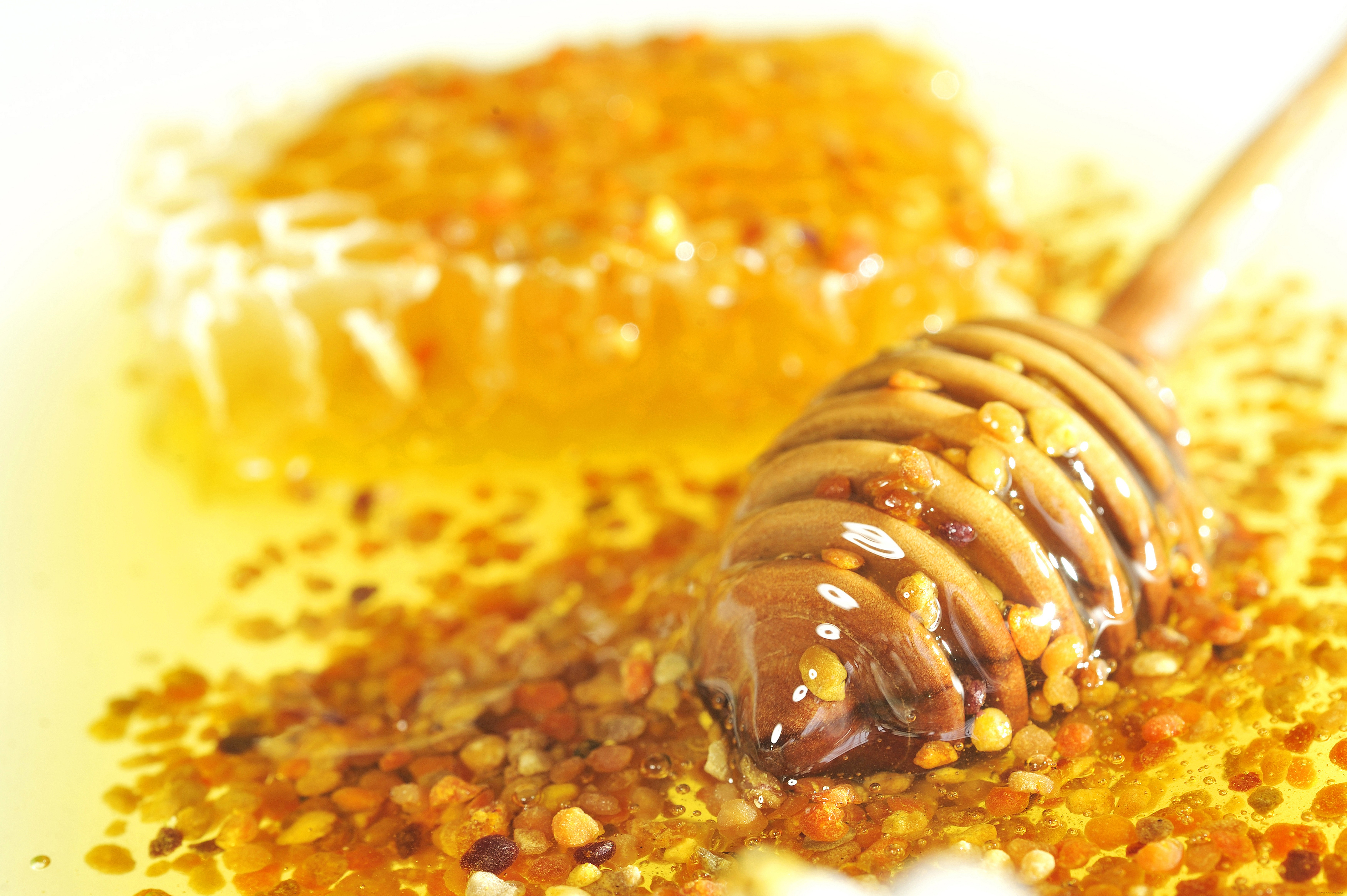 Мёд пыльца перга